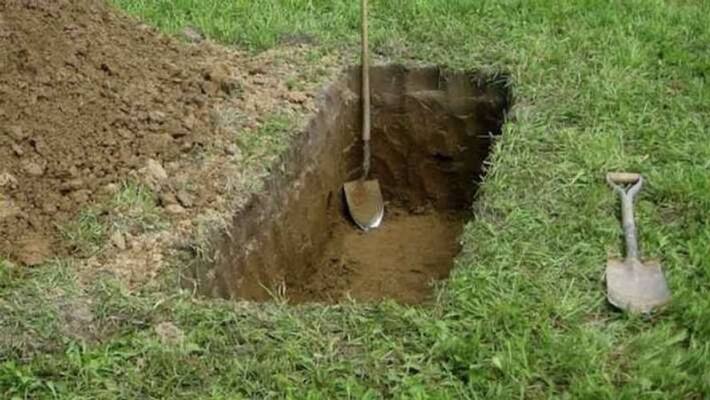 51 yr old tried to have sex with corpse he pulled out from grave In assam 51 yr old tried to have sex with corpse he pulled out from grave In assam