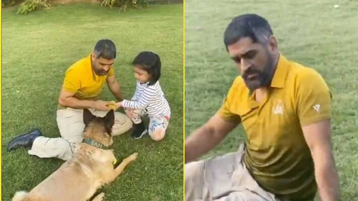 team india cricketer MS Dhoni s Dog Gives Him The Cold Shoulder But Obeys Sakshi team india cricketer MS Dhoni s Dog Gives Him The Cold Shoulder But Obeys Sakshi