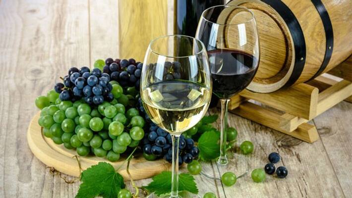 varieties of grapes varieties of grapes