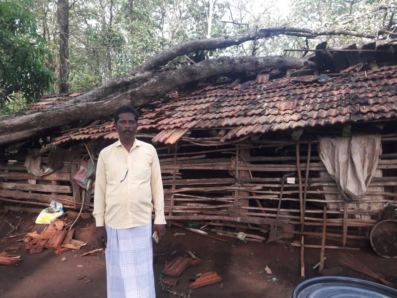 ಮನೆಯ ಮೇಲೆ ಮುರಿದು ಬಿದ್ದ ಮರ ಮನೆ ಸಂಪೂರ್ಣ ಜಖಂ
