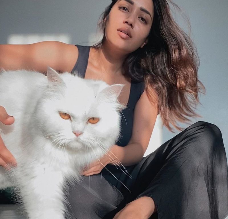 Nivetha pethuraj photo gallery 