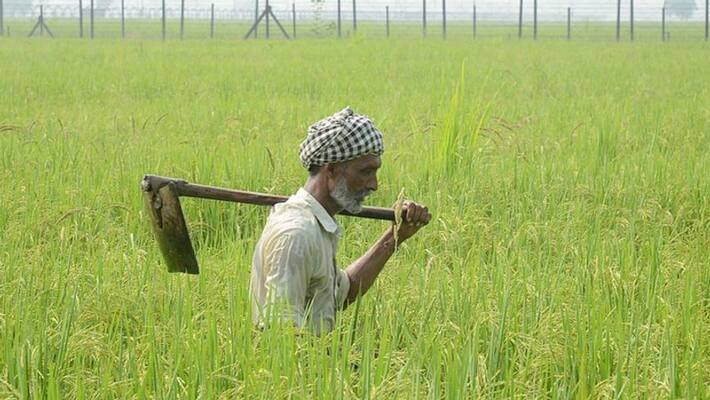 union ministry approves msp increase to 14 agricultural products union ministry approves msp increase to 14 agricultural products