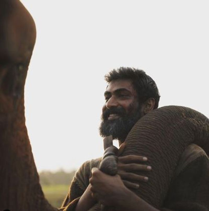பாகுபலி பிரபாஸ் ஏறி அமரும் யானையுடன் பாசமாக பழகும் ராணா 