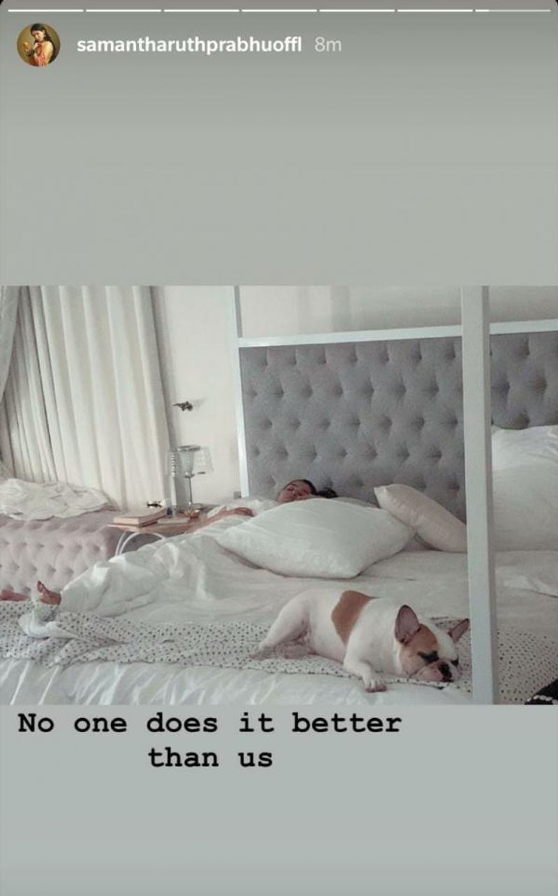 Samantha has also been seen posting Hash's pictures on her social media. Today, she shared a picture of her sleeping in the bed with her baby Hash.

