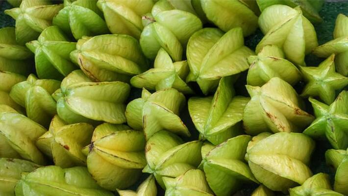 carambola grow and harvest carambola grow and harvest