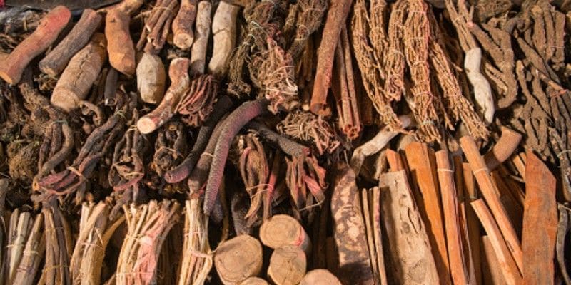 Ayurveda These are the herbs that have the power of navadurgas