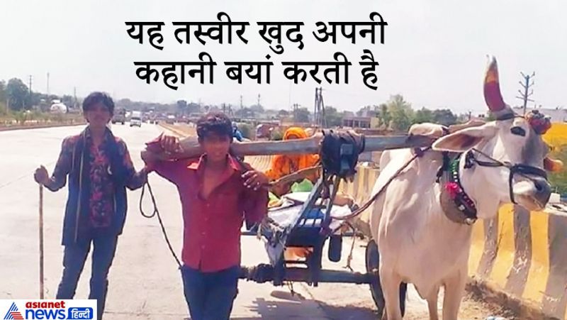 यह तस्वीर मप्र के इंदौर में बायपास रोड पर दिखने को मिली। यह शख्स है राहुल। कुछ समय पहले यह और उसके भाई-भाभी मजदूरी करने इंदौर आ गए थे। सभी हम्माली करते थे, लेकिन लॉकडाउन में काम-धंधा सब बंद हो गया। जब खाने के लाले पड़े, तो अपना 15 हजार की कीमत का बैल सिर्फ 5000 रुपए में बेचना पड़ा। इसके बाद घर वापसी में वो एक बैल के साथ खुद गाड़ी में जुत गया। आगे पढ़ें रिक्शे पर पूरा परिवार...