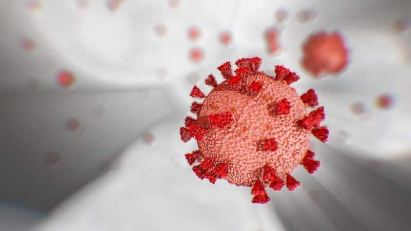 Coronavirus case india to muthappa rai top 10 news of May 15