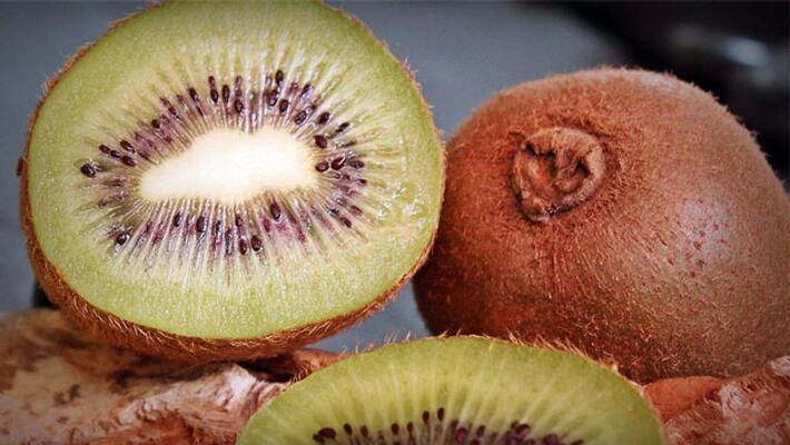 how to grow kiwi fruit how to grow kiwi fruit