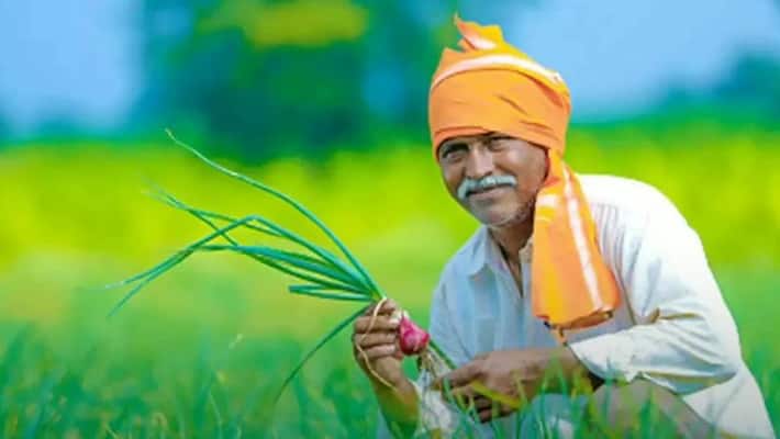 Nirmala Sitharaman said corridor will be built for herbal products on 800 hectares along the Ganges kpn Nirmala Sitharaman said corridor will be built for herbal products on 800 hectares along the Ganges kpn