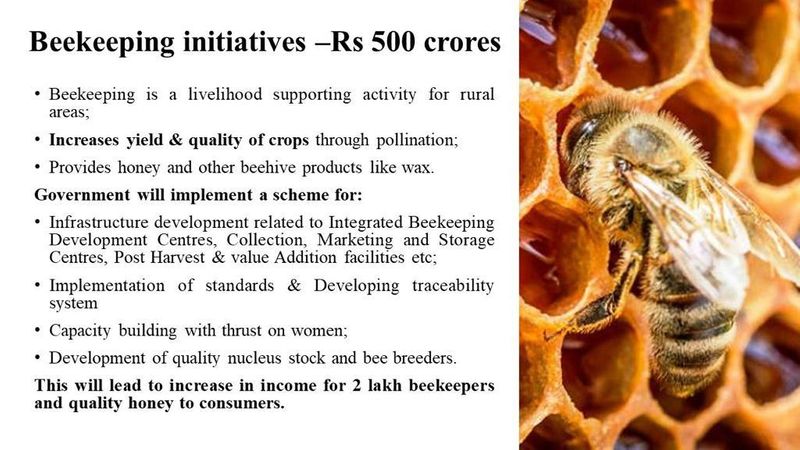 ಜೇನು ಕೃಷಿಗೆ ಬೇಕಾದ ಸಲಕರಣೆ, ಮೂಲ ಸೌಕರ್ಯ ಅಭಿವೃದ್ದಿಗೆ 500 ಕೋಟಿ ರೂಪಾಯಿ
