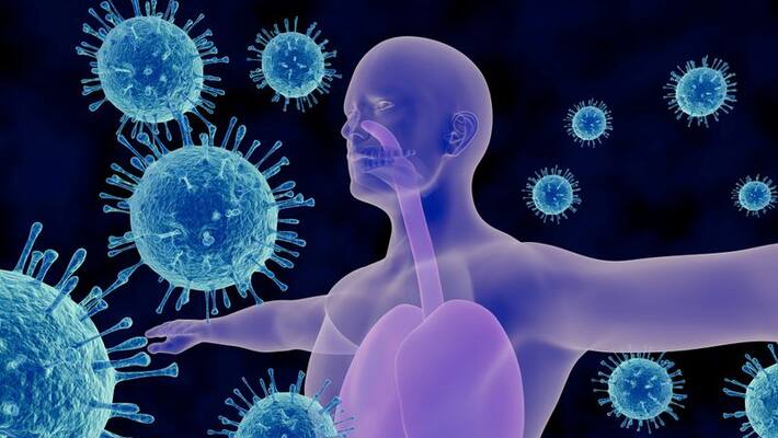 May increase immunity fight infections these vitamins and minerals in your diet May increase immunity fight infections these vitamins and minerals in your diet