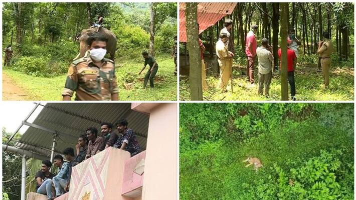 forest department search for tiger in Pathanamthitta forest department search for tiger in Pathanamthitta