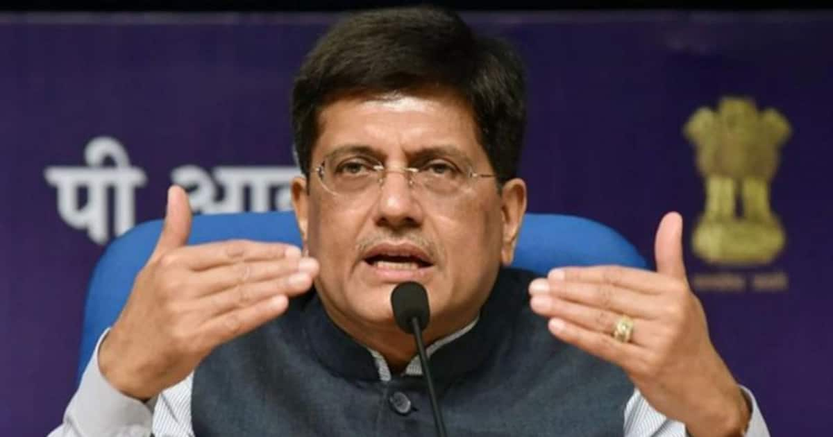 Piyush Goyal gets additional portfolio of Ministry of Consumer Affairs ...