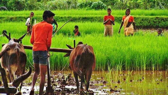 Agriculture gave new hope...RBI chief Shaktikanta Das Agriculture gave new hope...RBI chief Shaktikanta Das