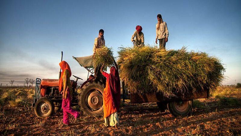 Agriculture gave new hope...RBI chief Shaktikanta Das