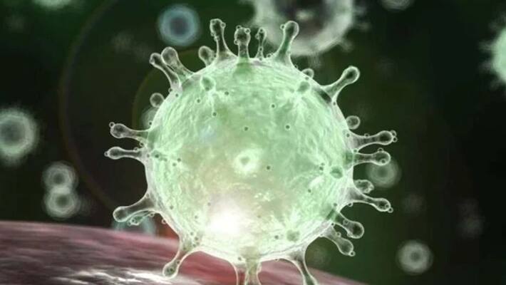 five doctors in jammu kashmir tested covid 19 positive five doctors in jammu kashmir tested covid 19 positive