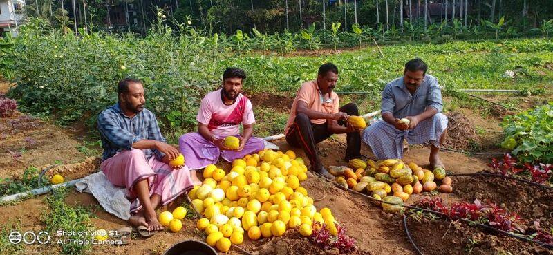kranam self help group narikkuni covid day's farming