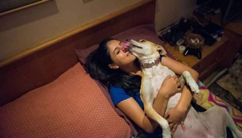 story behind the photo of a girl with her puppy in her marriage