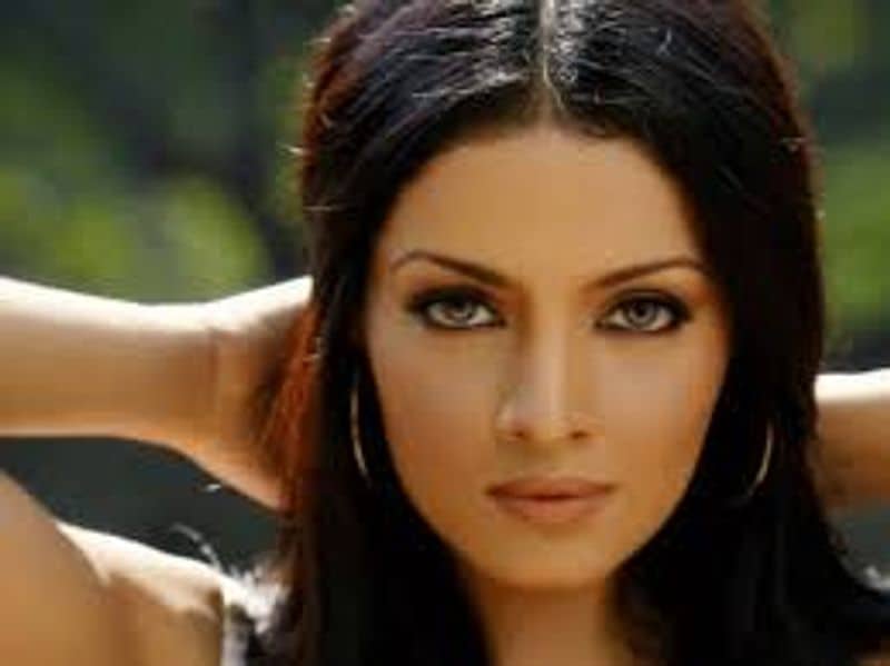 Celina Jaitly said post her debut in Feroz Khan's 2003 movie Janasheen, she faced several instances of harassment
