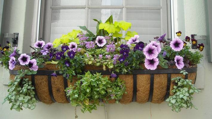 garden in your apartment garden in your apartment