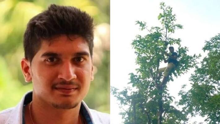 pg student treks one kilometer climbs tree on hill to attend online class pg student treks one kilometer climbs tree on hill to attend online class