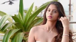 King Khan's daughter posted a hot photo again, know what was the reaction