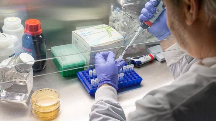 Accusations of US states fudging or bungling COVID-19 testing data surface Accusations of US states fudging or bungling COVID-19 testing data surface