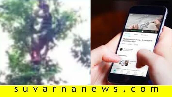 Student in sirsi claims tree to attend online classes Student in sirsi claims tree to attend online classes