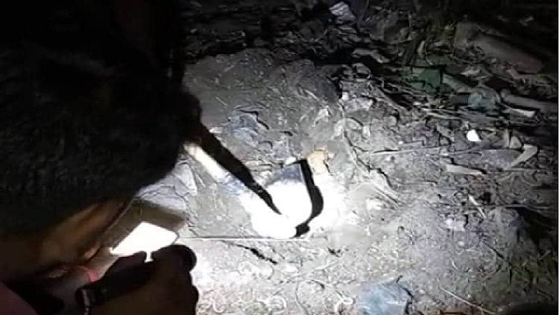 गांवों में सांपों के निकलने की सूचना के बाद फॉरेस्ट विभाग की टीम ने ढाई से तीन फीट जमीन के नीचे दफनाए गए सांपों को परीक्षण के लिए कब्जे में ले लिया।
