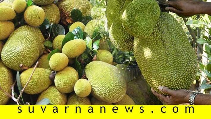 This India Superfood Has Gone Global This India Superfood Has Gone Global