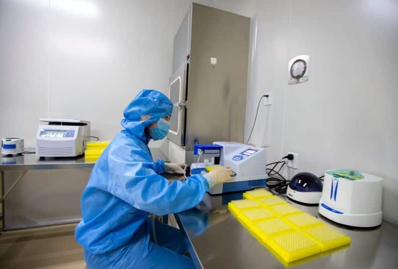 china corona vaccine test victory - human test victory