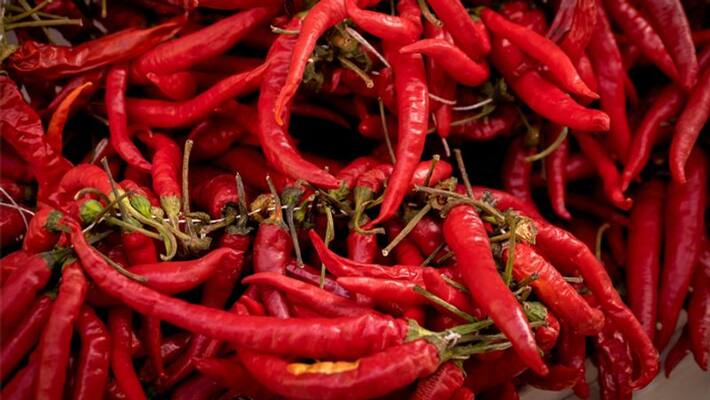types of chilly and other chilly things types of chilly and other chilly things
