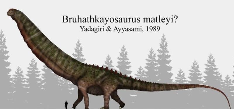 Bruhathkayosaurus Dinosaur by Joe Joseph Muthireri