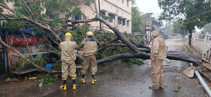 മരംവീണ് നിരവധി വീടുകള് തകര്ന്നു. വൈദ്യുതി ബന്ധം താറുമാറായി