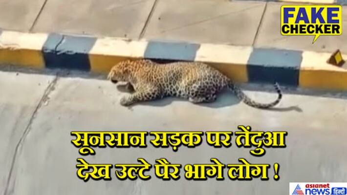 leopard was spotted roaming on road in hyderabad not delhi false claim kpt leopard was spotted roaming on road in hyderabad not delhi false claim kpt