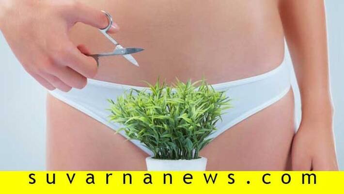 Things You Never Knew About Pubic Hair Things You Never Knew About Pubic Hair