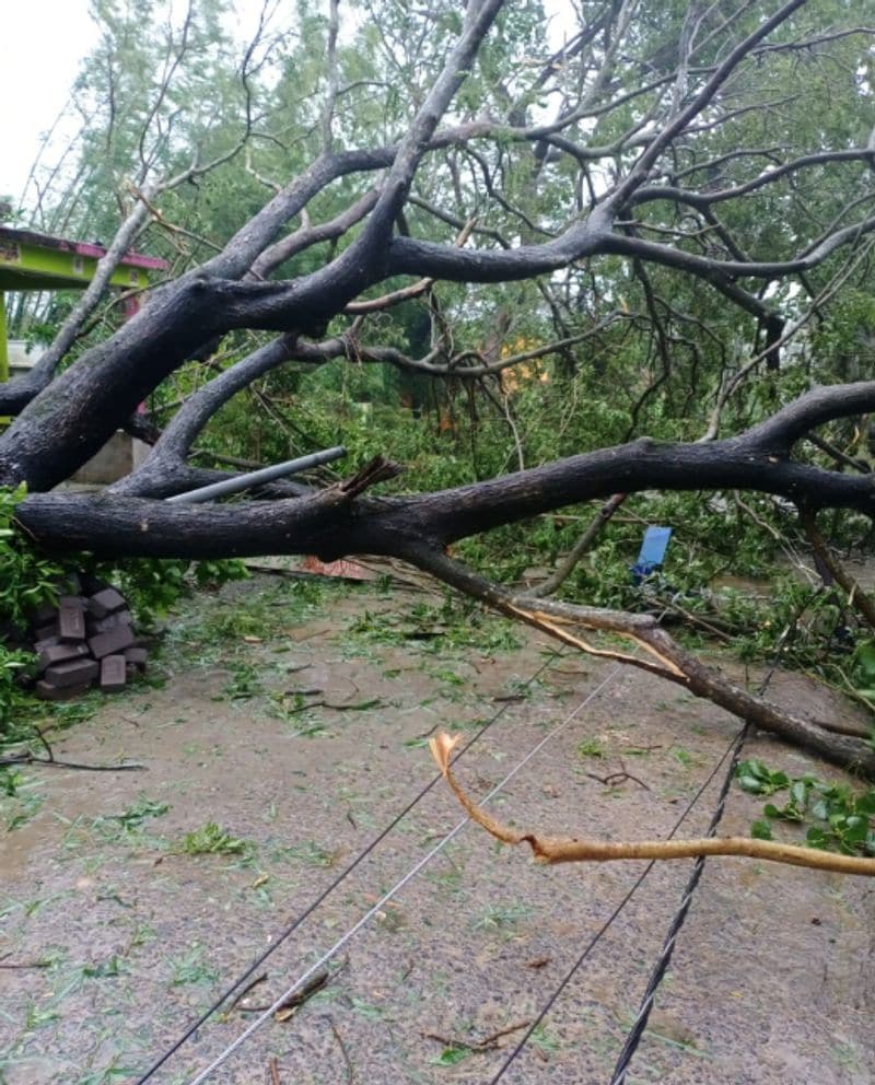 ഉംപുണ് ചുഴലിക്കാറ്റിനെ തുടര്ന്ന് ബംഗാളില് ചുരുങ്ങിയത് 12 മരണങ്ങളെങ്കിലുമുണ്ടായെന്ന് മുഖ്യമന്ത്രി മമതാ ബാനര്ജി പറഞ്ഞു.