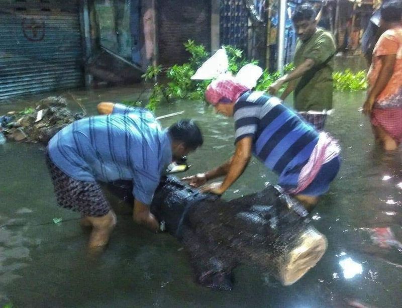 Amphan Cyclone Pictures 