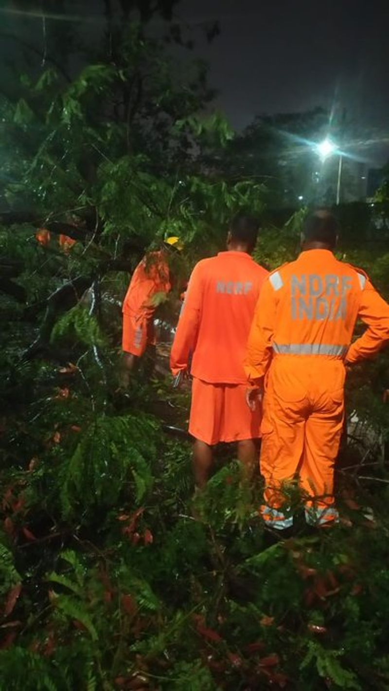 Amphan Cyclone Pictures 