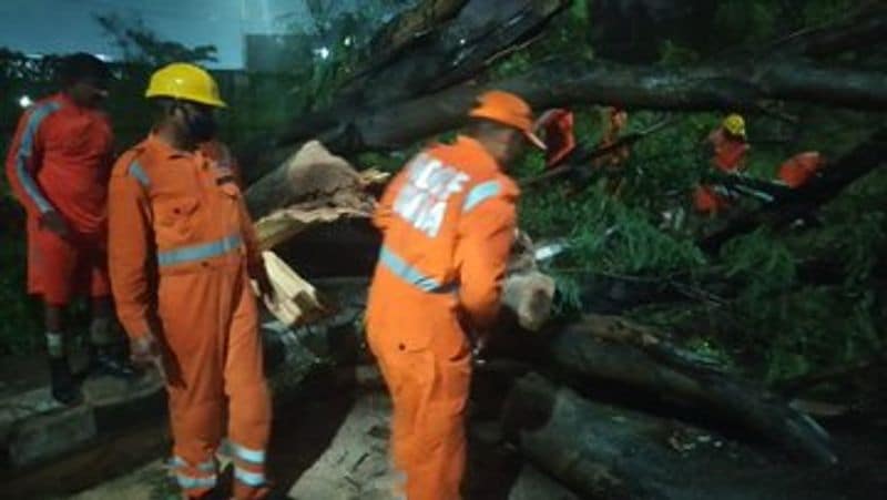 Amphan Cyclone Pictures 
