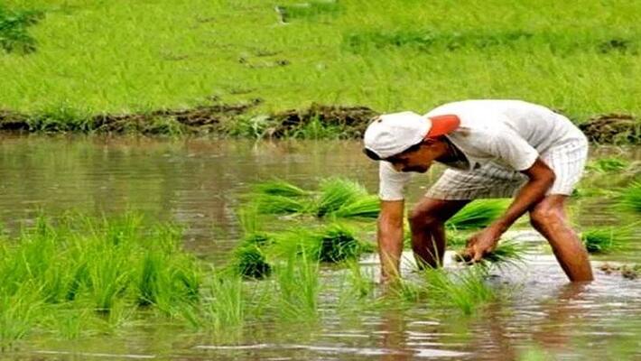 Some policy in farmers loan changed govt employee farmers to get benefit Some policy in farmers loan changed govt employee farmers to get benefit