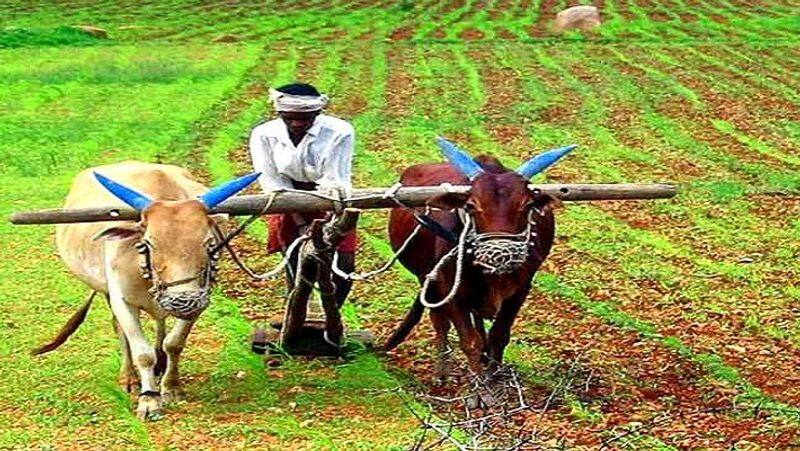 union ministry approves msp increase to 14 agricultural products