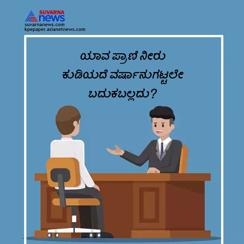 ಕಾಂಗರೂ ವರ್ಷಾನುಗಟ್ಟಲೇ ನೀರನ್ನೇ ಕುಡಿಯದೆ ಜೀವಿಸಬಲ್ಲದು. 