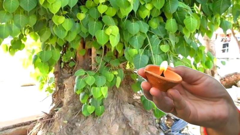 পাশাপাশি শিবলিঙ্গে বিল্বপত্র এবং ধুতরা ফুল অর্পণ করুন। প্রদীপ এবং কর্পূর জ্বালিয়ে আরতি করুন।