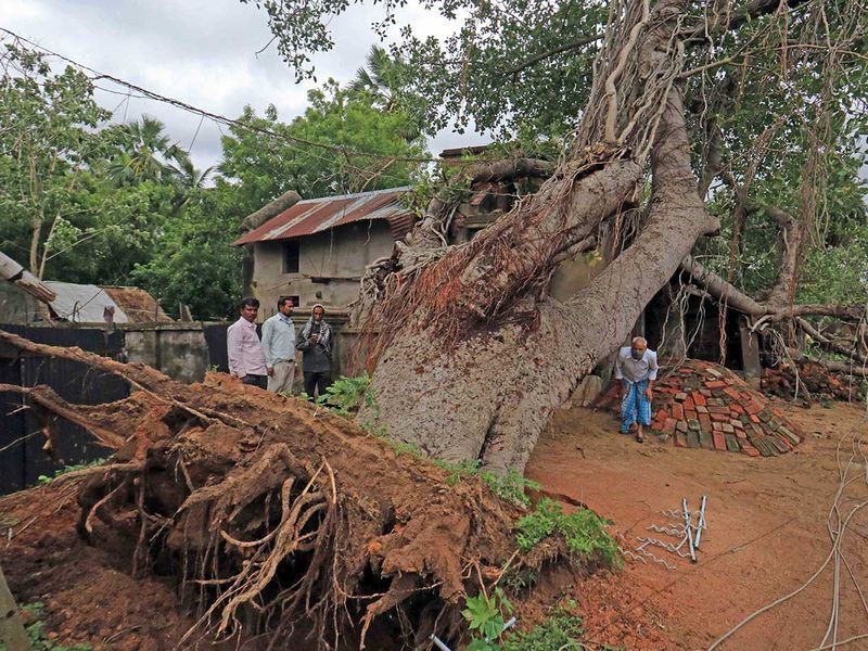 മുന്നറിയിപ്പുകളെ തുടര്ന്ന് ചുഴലിക്കാറ്റ് വരുന്നതിനുമുമ്പ് 6,58,000 പേരെ ( പശ്ചിമ ബംഗാളിൽ നിന്ന് 5,00,000 പേരും ഒഡീഷയിൽ നിന്ന് 158,000 പേരും) ഒഴിപ്പിച്ചില്ലെങ്കിൽ കൂടുതൽ മരണം സംഭവിച്ചേനെ. 