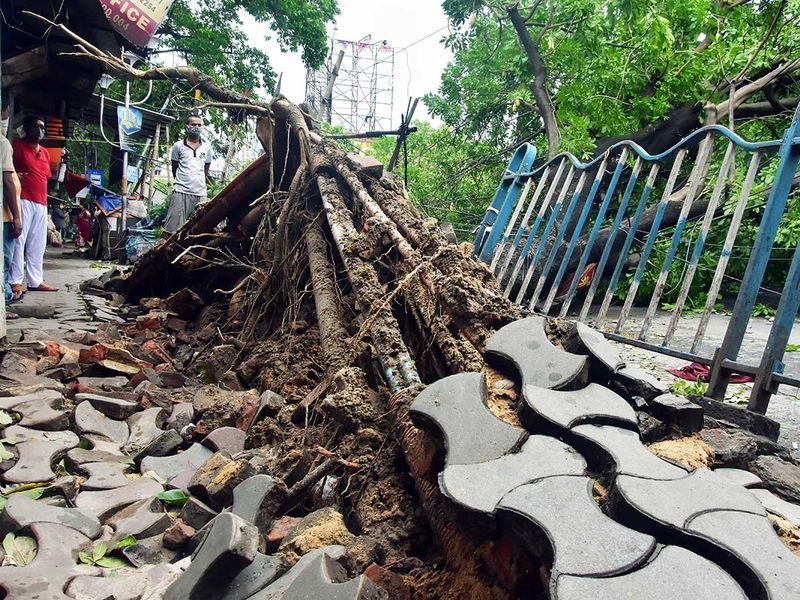 ചുഴലിക്കാറ്റിൽ കൊല്ലപ്പെട്ടവരുടെ കുടുംബങ്ങൾക്ക് സംസ്ഥാന സർക്കാർ രണ്ടര ലക്ഷം രൂപ നഷ്ടപരിഹാരം പ്രഖ്യാപിച്ചു. 
