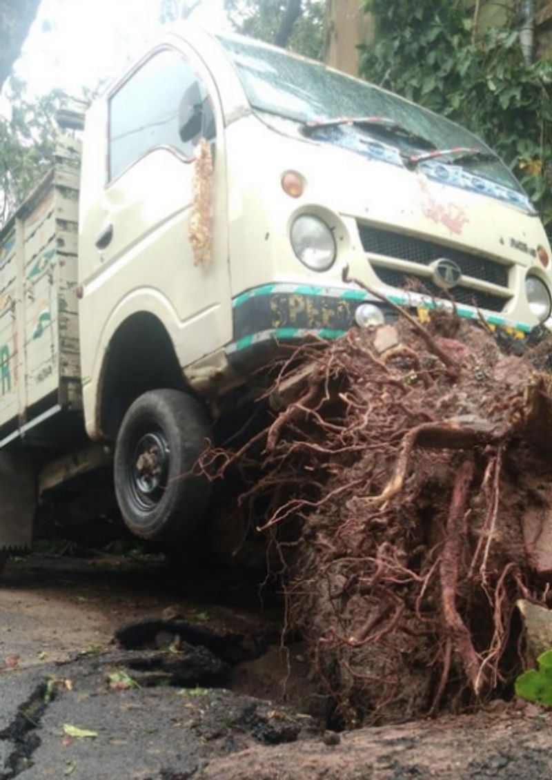 ഉംപുണ് ചുഴലിക്കാറ്റിനെത്തുടർന്ന് ആവശ്യമായ ദുരിതാശ്വാസ പ്രവർത്തനങ്ങൾ വിലയിരുത്തുന്നതിനായി രൂപീകരിച്ച ടാസ്ക് ഫോഴ്സിലെ അംഗങ്ങളെ സന്ദർശിച്ചതിന് ശേഷം 1,000 കോടി രൂപയുടെ ദുരിതാശ്വാസ പാക്കേജും ബാനർജി പ്രഖ്യാപിച്ചു.
