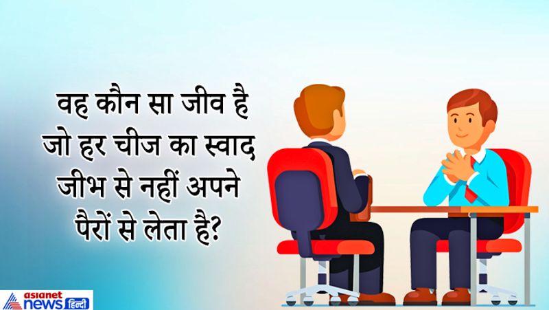 जवाब: तितली