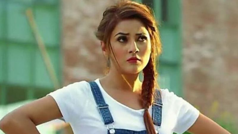 बिग बॉस में शहनाज के साथ बैठे सिद्धार्थ ने उनसे कहा कि इसके बाद तो तुम्हारे सामने लड़कों की लाइन लग गई होगी?' शहनाज ने कहा, इसके बाद उनके सामने म्यूजिक विडियोज की लाइन लग गई थी। इसके बाद उनका रास्ता खुल गया। मेकर्स को उनकी एक्टिंग बहुत अच्छी लगी।